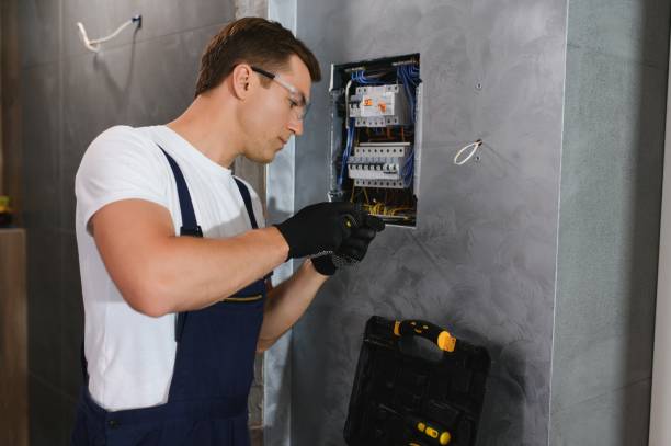 Best Electric Panel Repair  in Calhoun Falls, SC